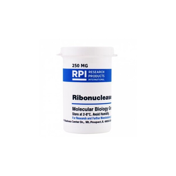 Ribonuclease A, 250 MG